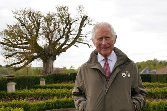 Prinz Charles von Wales neben der "Alten Platane" im Garten von Dumfries House in Edinburgh.