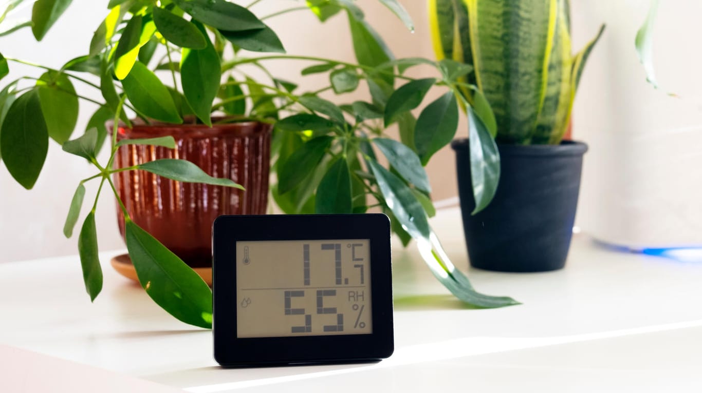 Diese Thermo-Hygrometer ermitteln zuverlässig Luftfeuchtigkeit und Temperatur für ein gesundes Raumklima.
