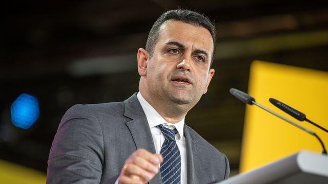 Bijan Djir-Sarai (FDP)