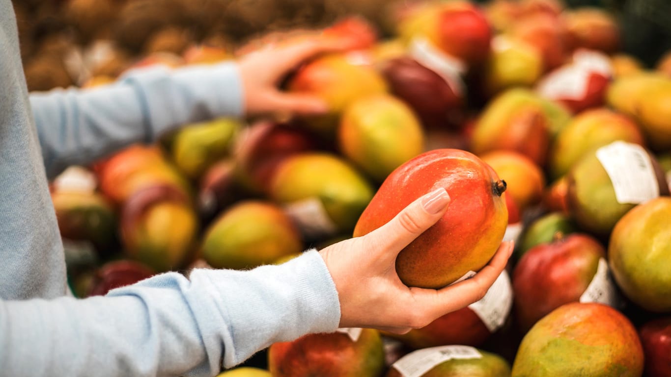 Mango: Im Supermarkt ist die Frucht oft noch hart.