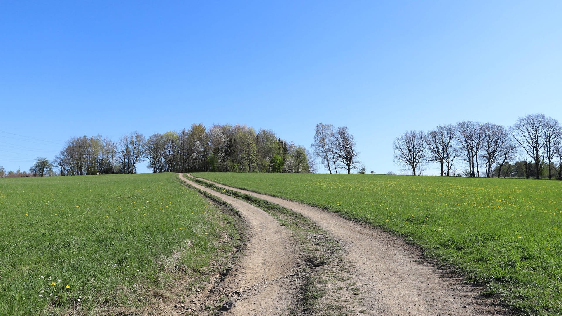 Ein Feldweg (Symbolbild): Ein Passant fand das bewusstlose Opfer.