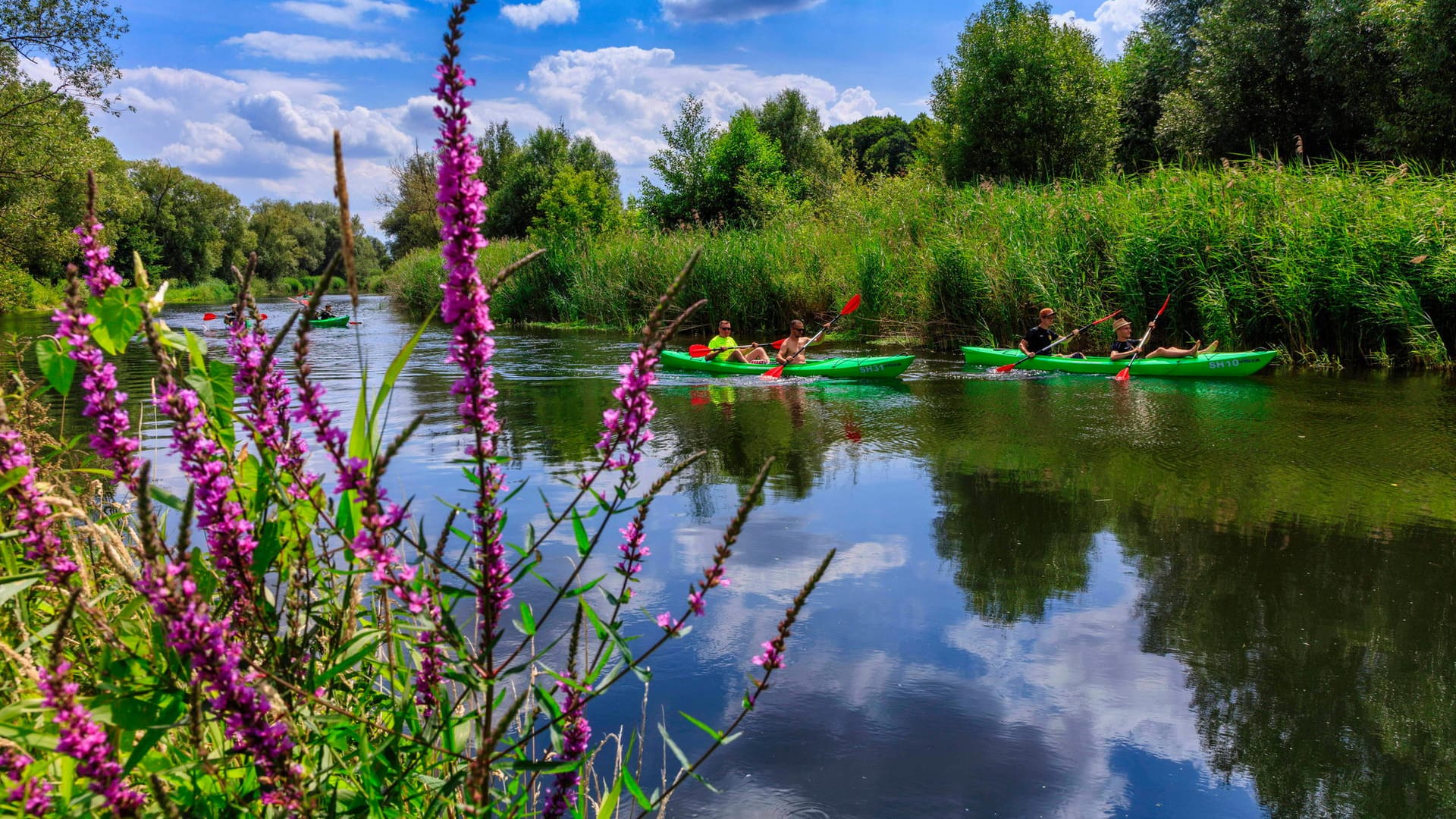 Kanufahrer im Spreewald: In der Lausitz könnte es kommende Woche besonders warm werden.