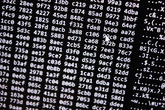 Cybercrime