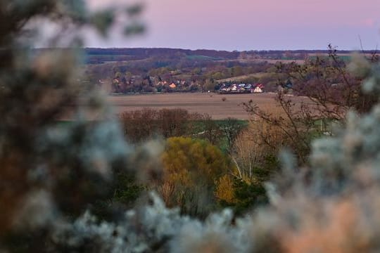 Am Oderbruchrand