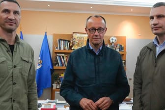 CDU-Chef Friedrich Merz (M.) mit Vitali (r.) und Wladimir Klitschko in Kiew: "Öl ins Feuer gegossen".