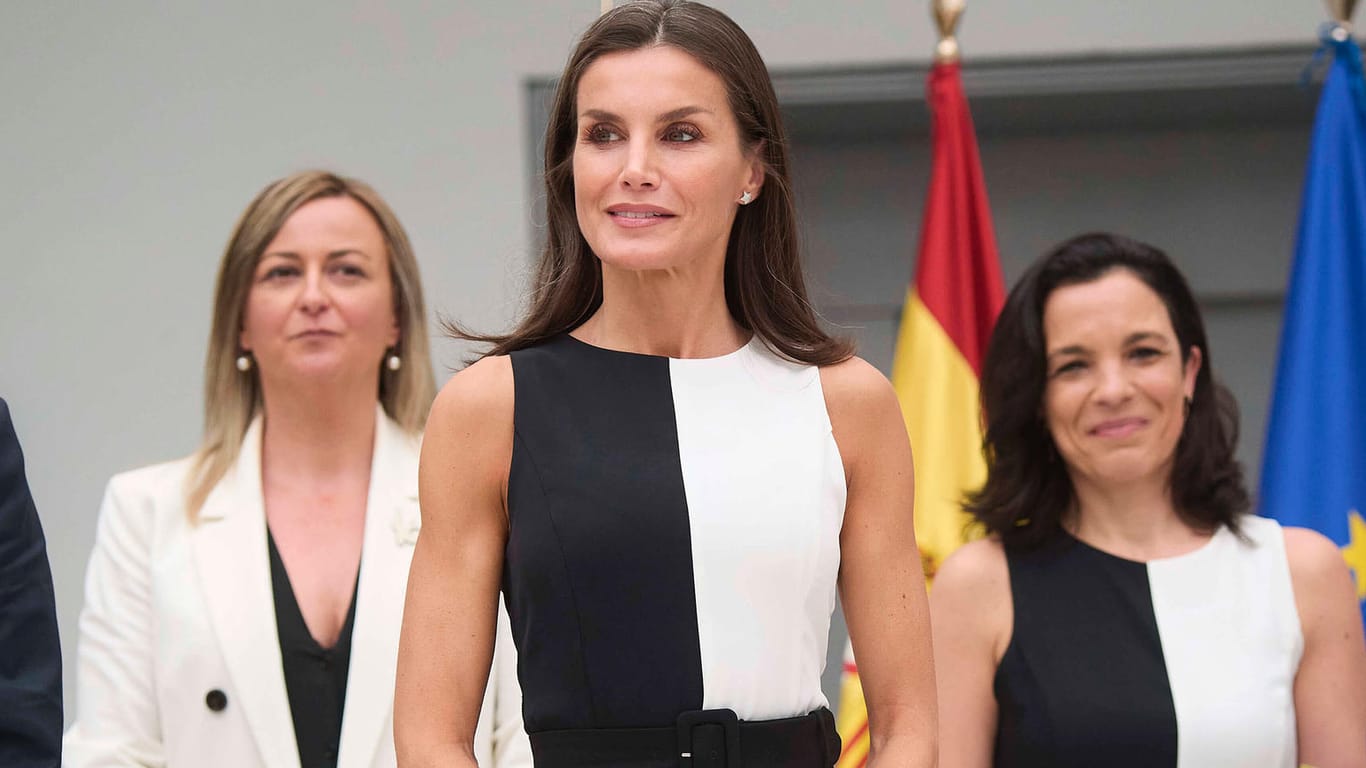 Königin Letizia und Rechtsprofessorin Inmaculada Vivas Tesón: Zwei Frauen im gleichen Kleid.