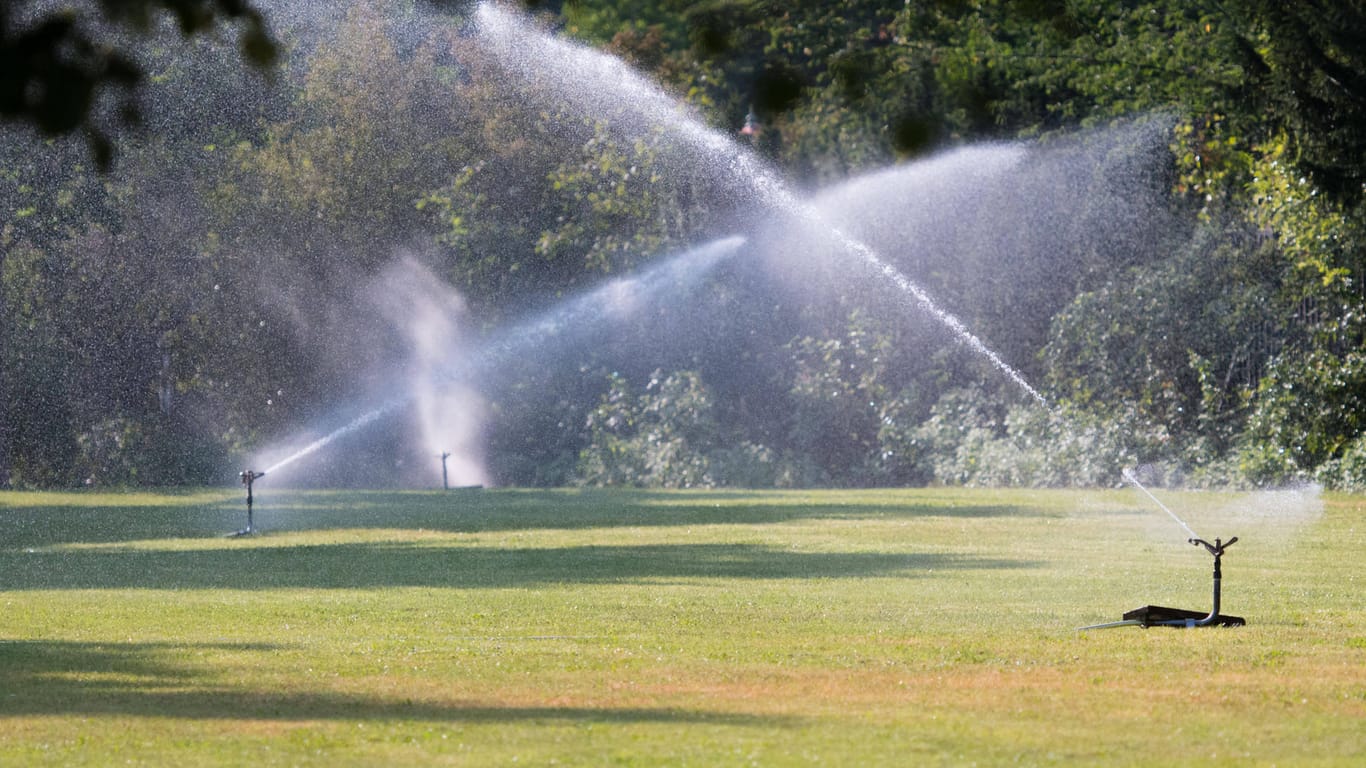 Eine Rasenfläche wird bewässert (Symbolbild): Das Wasser schafft es häufig nicht in tiefere Bodenschichten, sondern wird aufgesaugt und verdunstet dann.
