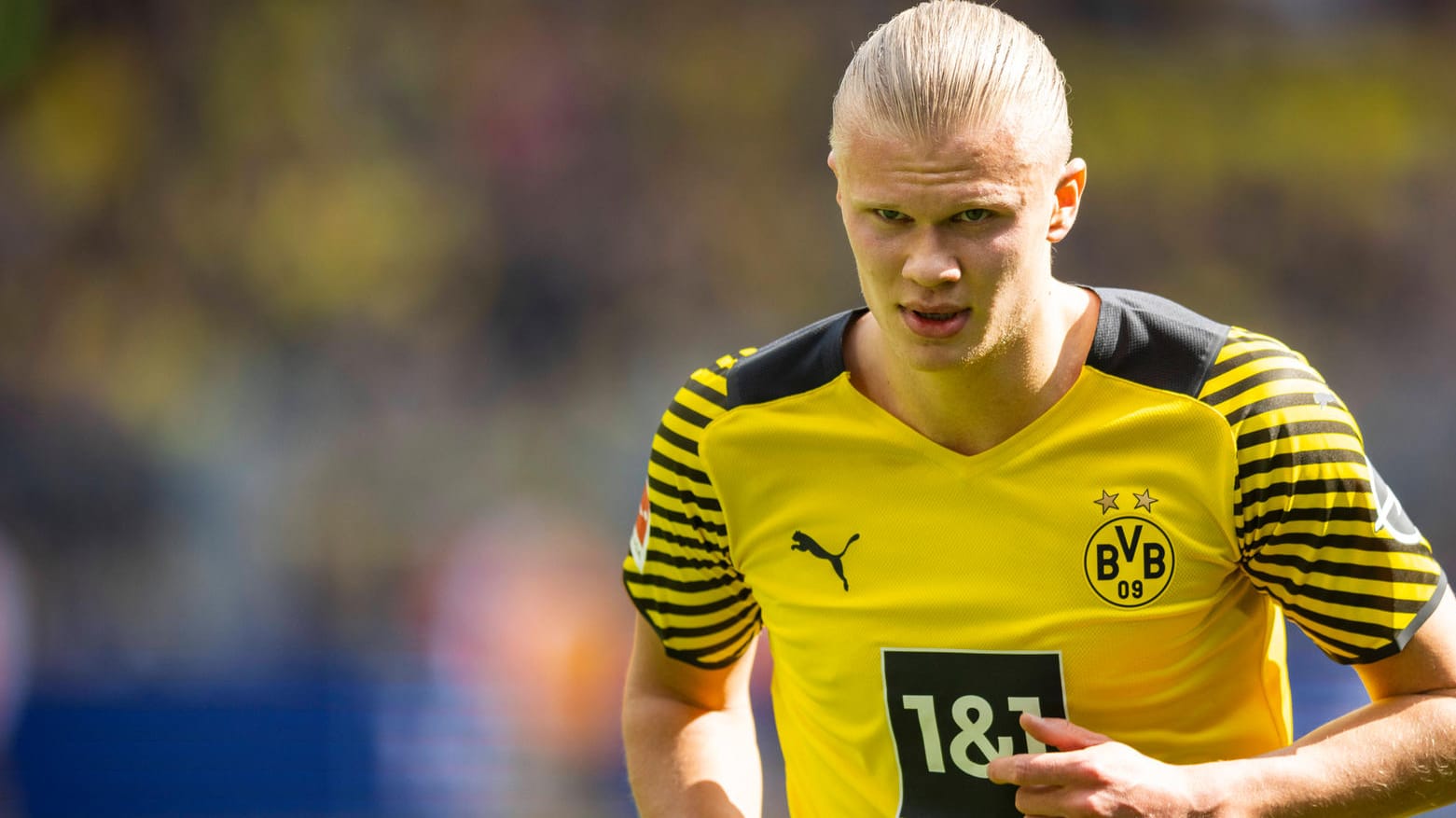 Erling Haaland: Der BVB-Torjäger bekommt eine eigene Statue. Erling Haaland: Der BVB-Torjäger bekommt eine eigene Statue.