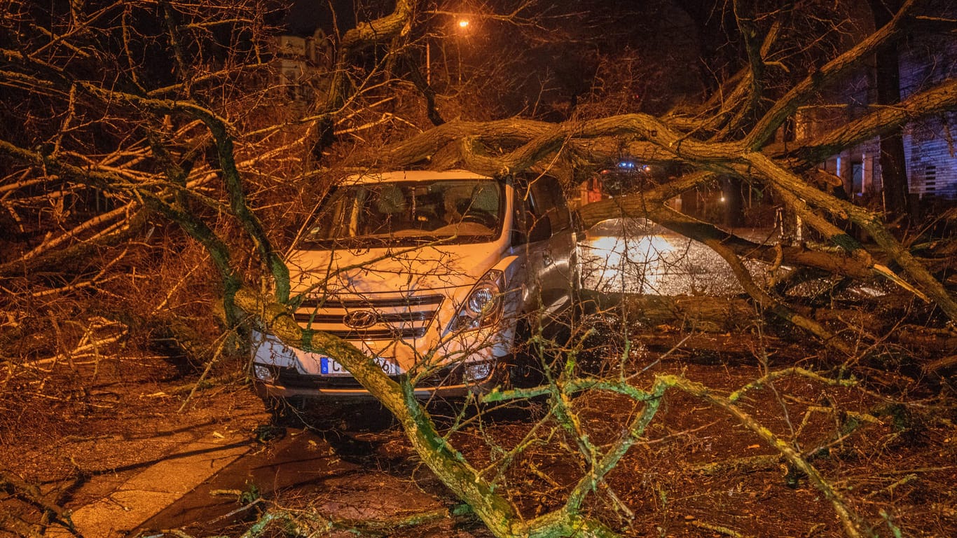 Ein umgestürzter Baum auf einem Minivan (Symbolbild): Überschwemmungen und Sommergewitter sind für die meisten Schäden verantwortlich.