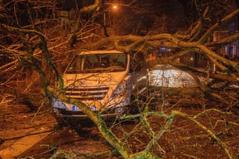 Ein umgestürzter Baum auf einem Minivan (Symbolbild): Überschwemmungen und Sommergewitter sind für die meisten Schäden verantwortlich.