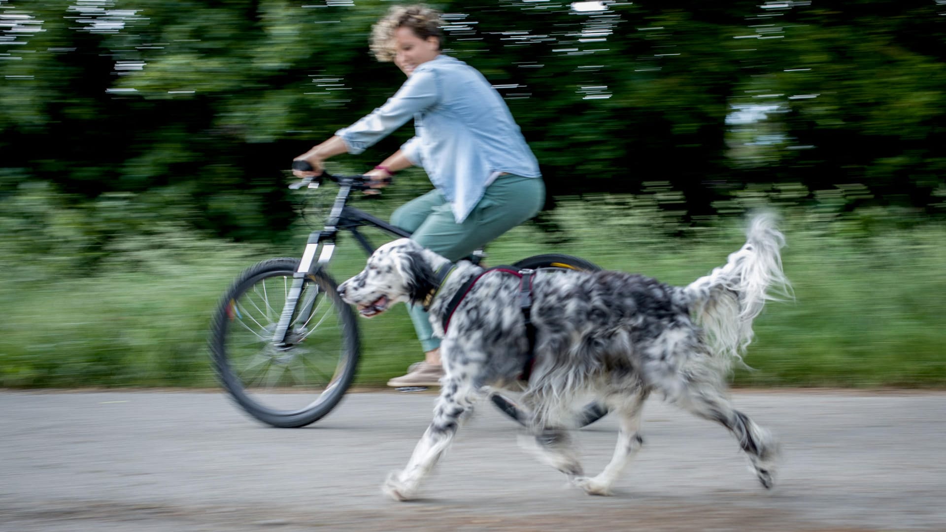 Das gemeinsame Fahren mit Rad und Hund sollte zunächst in einer verkehrsberuhigten Zone oder auf einem Parkplatz geübt werden.