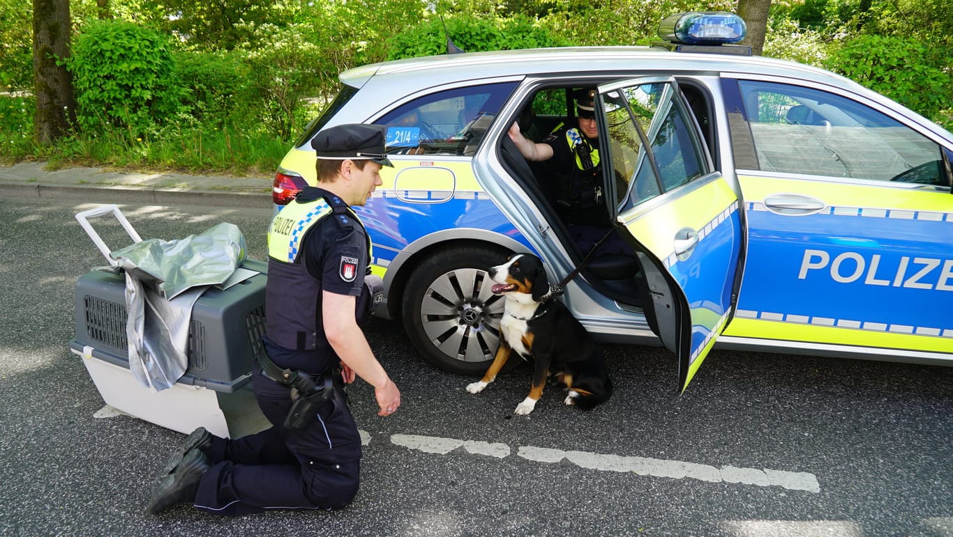 Hund sitzt vor Polizeiauto: Die Beamten versorgten der Vierbeiner nach dem Unfall.