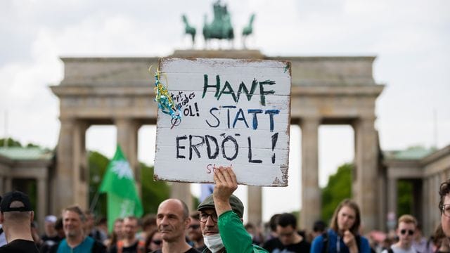 Demonstrationen für eine zügige Legalisierung von Cannabis