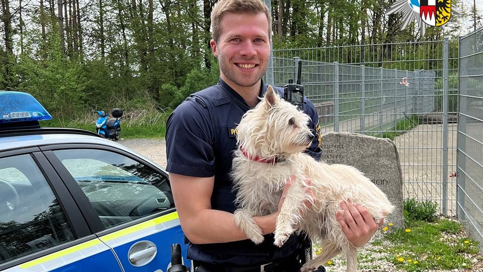 Ein Polizist hat einen Hund aus einem überhitzten Auto in Roth nahe Nürnberg gerettet. Ein Polizist hat einen Hund aus einem überhitzten Auto in Roth nahe Nürnberg gerettet.