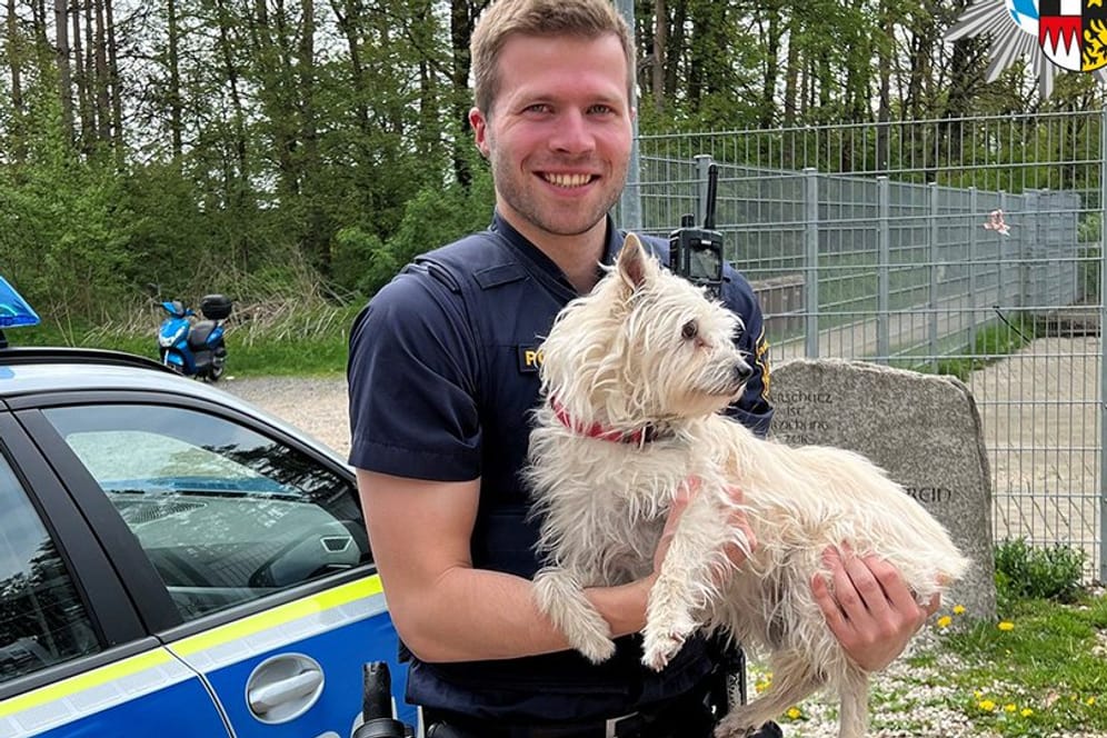 Ein Polizist hat einen Hund aus einem überhitzten Auto in Roth nahe Nürnberg gerettet.