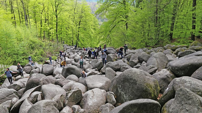 Beliebtes Ausflugsziel im Odenwald: Das Felsenmeer in Lautertal.