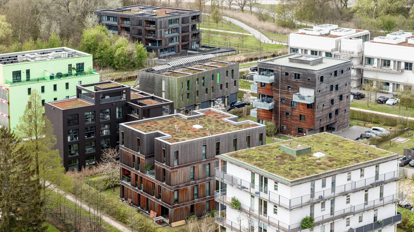 Gründächer sind auf Neubauten im Hamburger Stadtteil Wilhelmsburg zu sehen. Auf ihnen gedeiht biologische Artenvielfalt