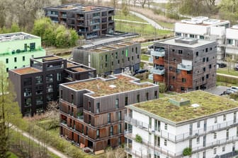 Gründächer sind auf Neubauten im Hamburger Stadtteil Wilhelmsburg zu sehen. Auf ihnen gedeiht biologische Artenvielfalt