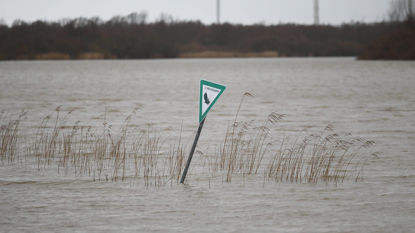 Ein Schild mit der Aufschrift Naturschutzgebiet (Symbolbild): Die Stadt Hamburg sperrt eine schadstoffbelastete Liegewiese.