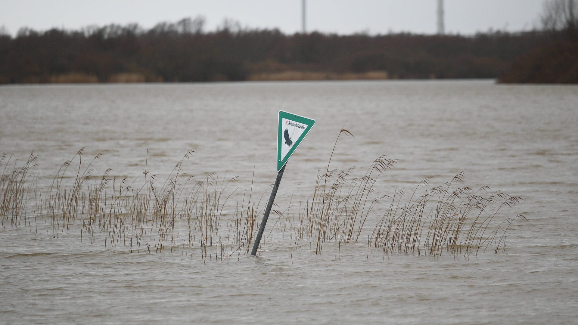 Ein Schild mit der Aufschrift Naturschutzgebiet (Symbolbild): Die Stadt Hamburg sperrt eine schadstoffbelastete Liegewiese. Ein Schild mit der Aufschrift Naturschutzgebiet (Symbolbild): Die Stadt Hamburg sperrt eine schadstoffbelastete Liegewiese.