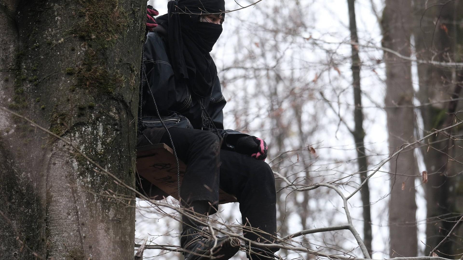 Protest gegen A49-Ausbau Räumung im Dannenröder Forst (Archivbild): Ellas Freilassung soll sofort in die Wege geleitet werden.