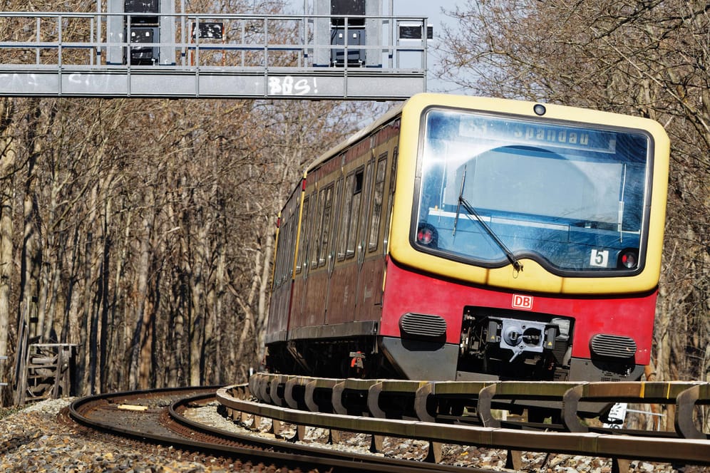 Ein Zug der Berliner S-Bahn (Symbolbild): Der mutmaßliche S-Bahn-Schubser steht ab Dienstag vor Gericht.