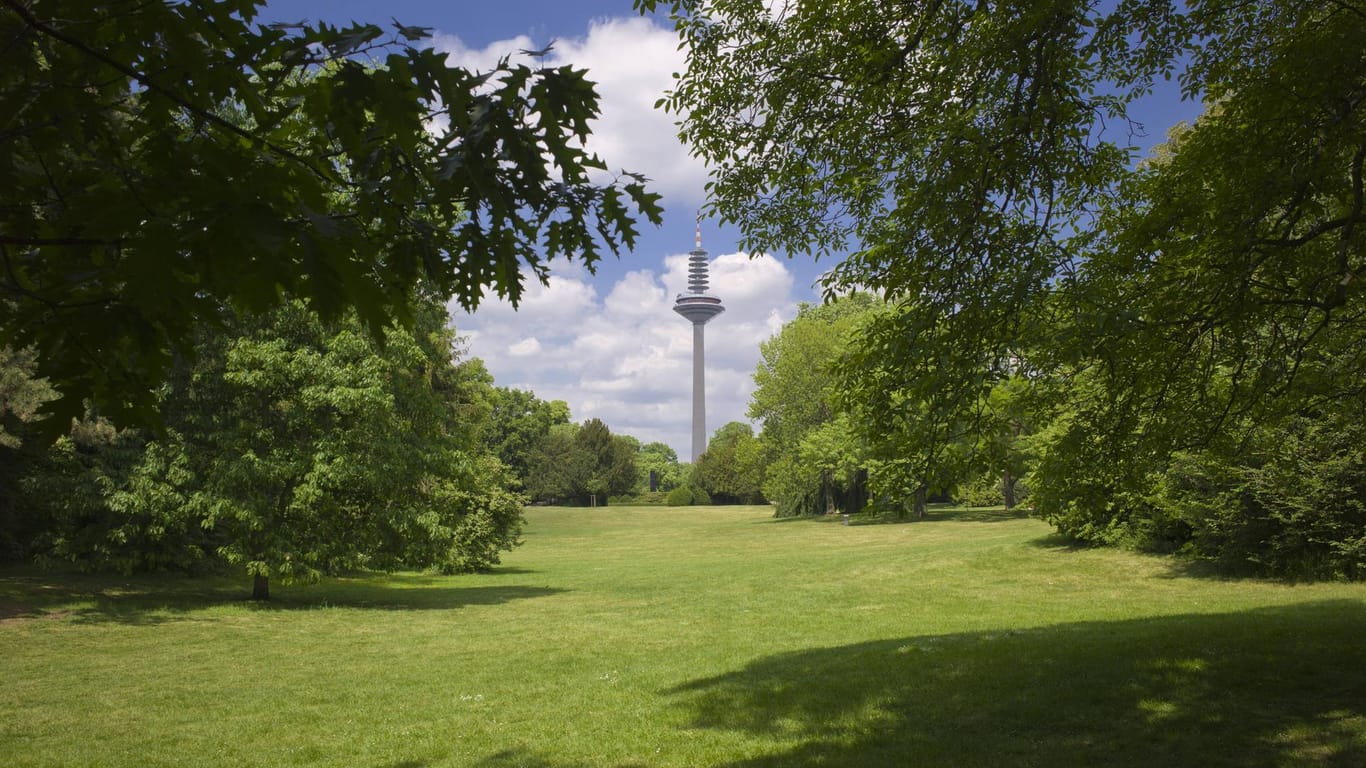 Grüneburgbark in Frankfurt am Main (Archivbild): In dieser Parkanlage soll die Bande mehrere schwere Straftaten verübt haben.