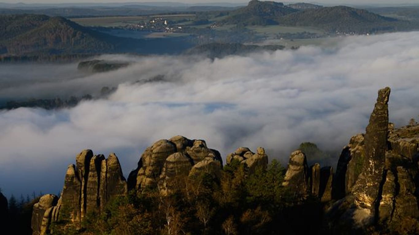 Nationalpark Sächsische Schweiz