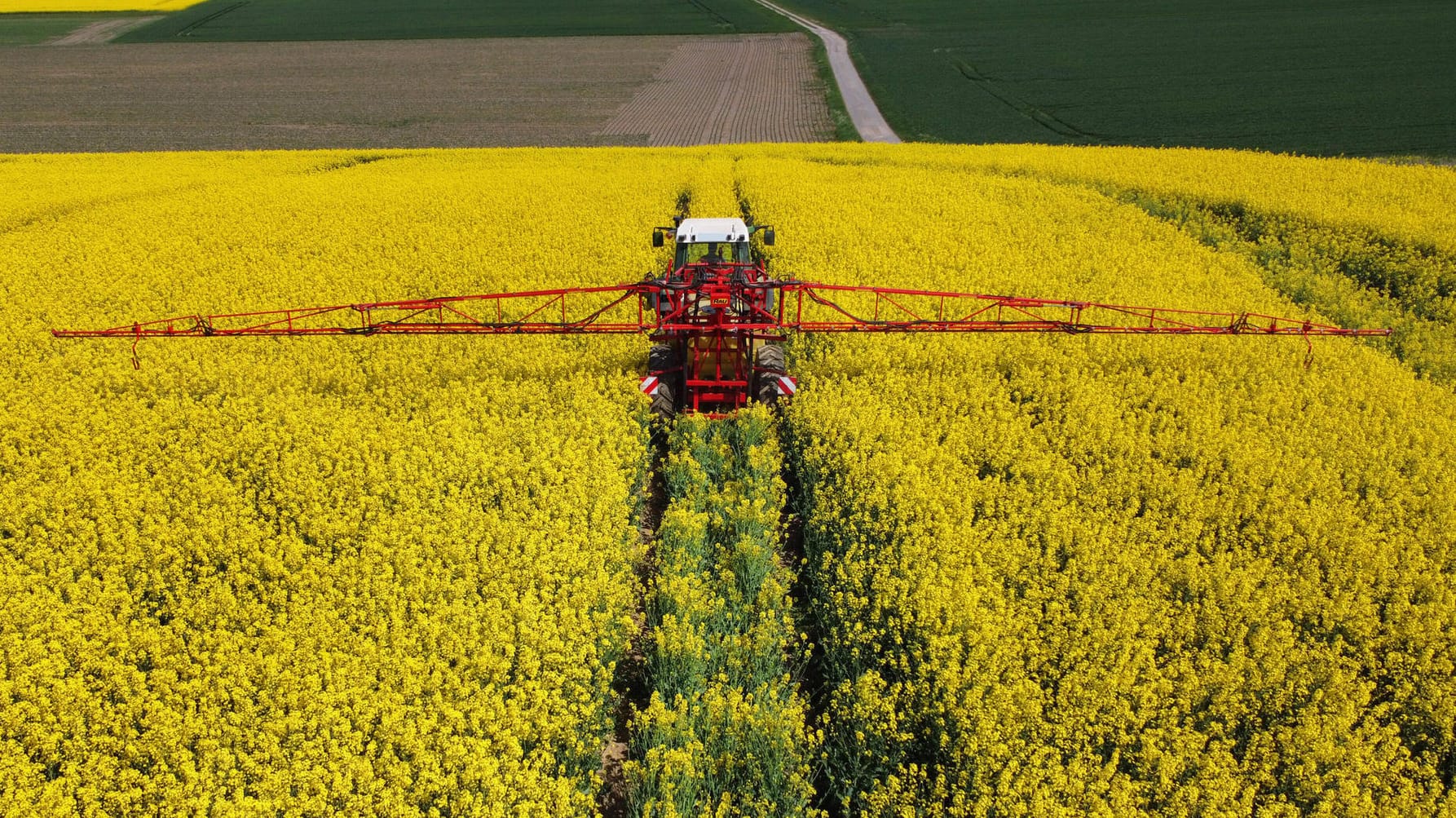 Landwirt setzt Pflanzenschutz auf blühenden Raps ein: Der Unkrautvernichter Glyphosat, der von Bayer verwendet wird, könnte krebserregend sein.