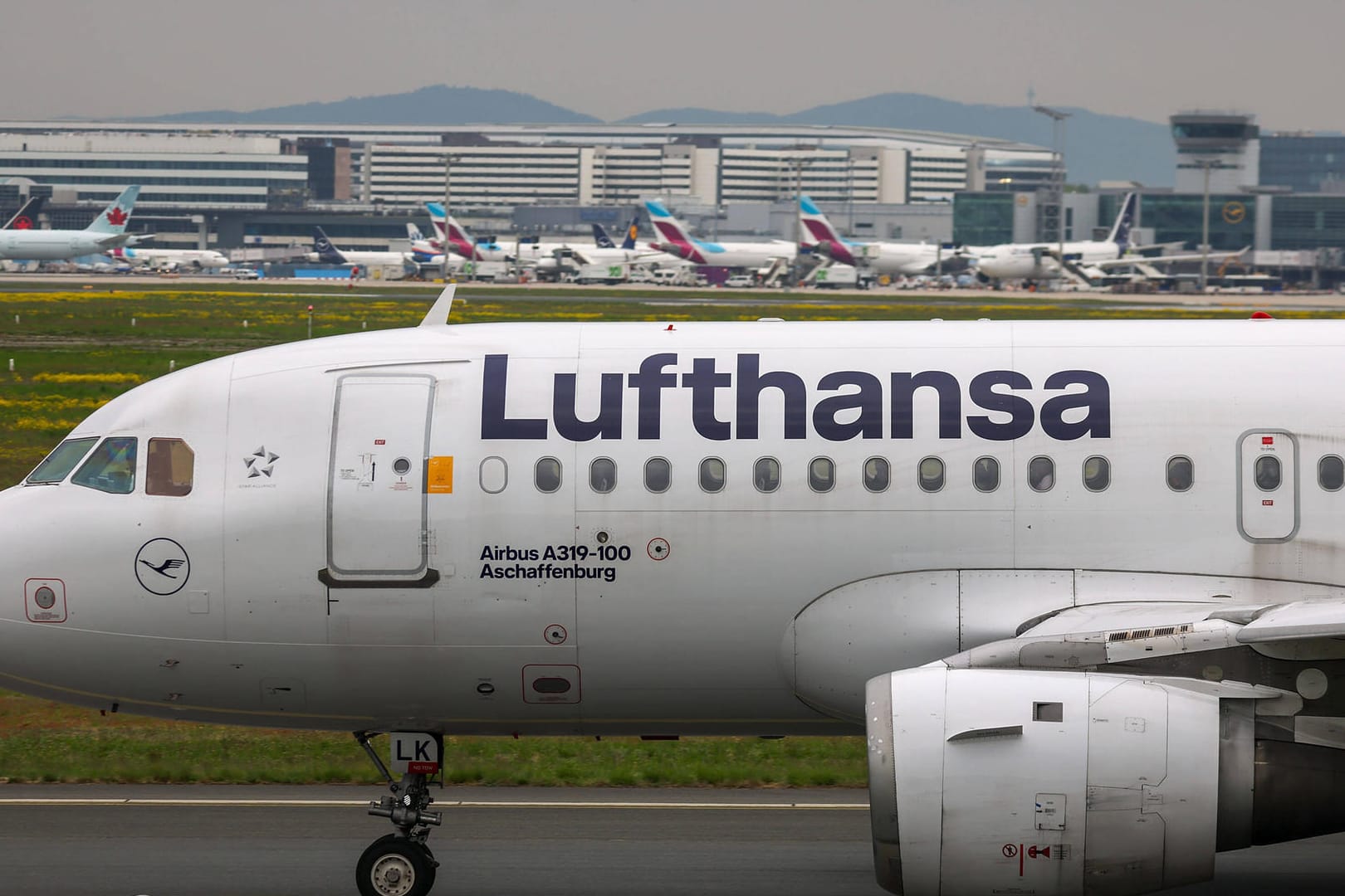 Lufthansa-Maschine in Frankfurt (Archivfoto): Die Airline erhält im Netz eine Welle der Kritik.