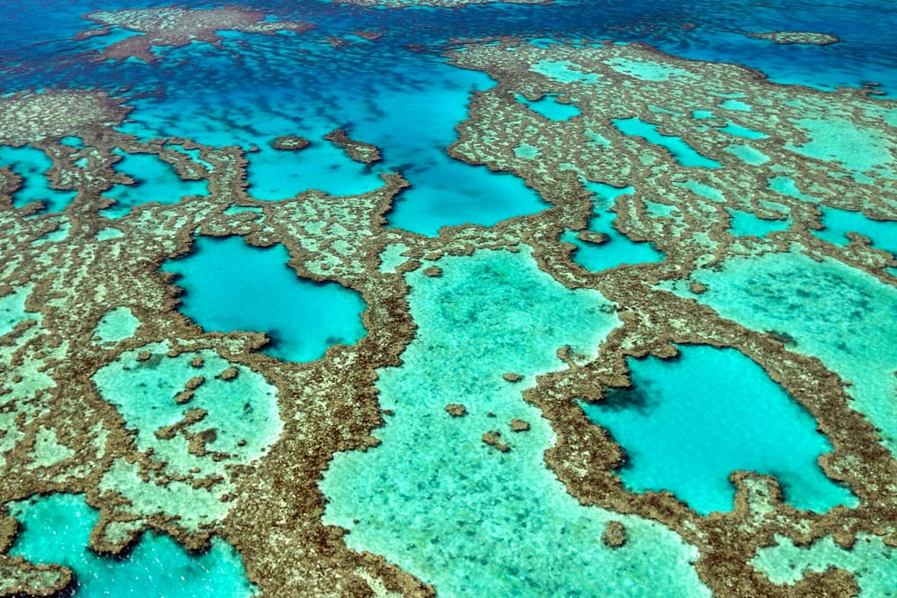 Der Great Barrier Reef von oben: Die Hitzewelle tut dem Korallenriff nicht gut.