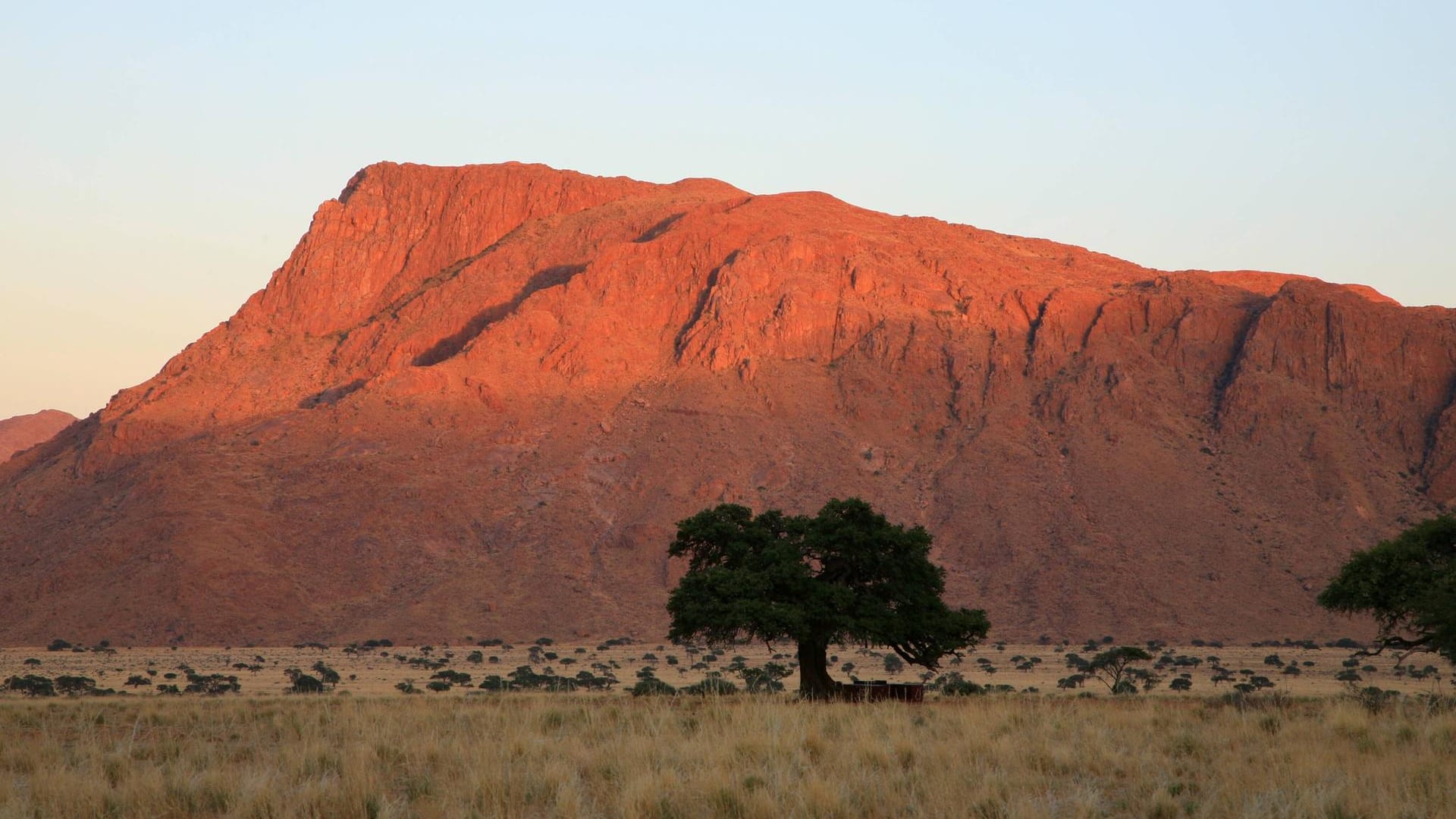 Dürre in Namibia: Doch nicht nur in Afrika ist der Anteil an Dürrelandschaften in den letzten Jahren immens angestiegen.