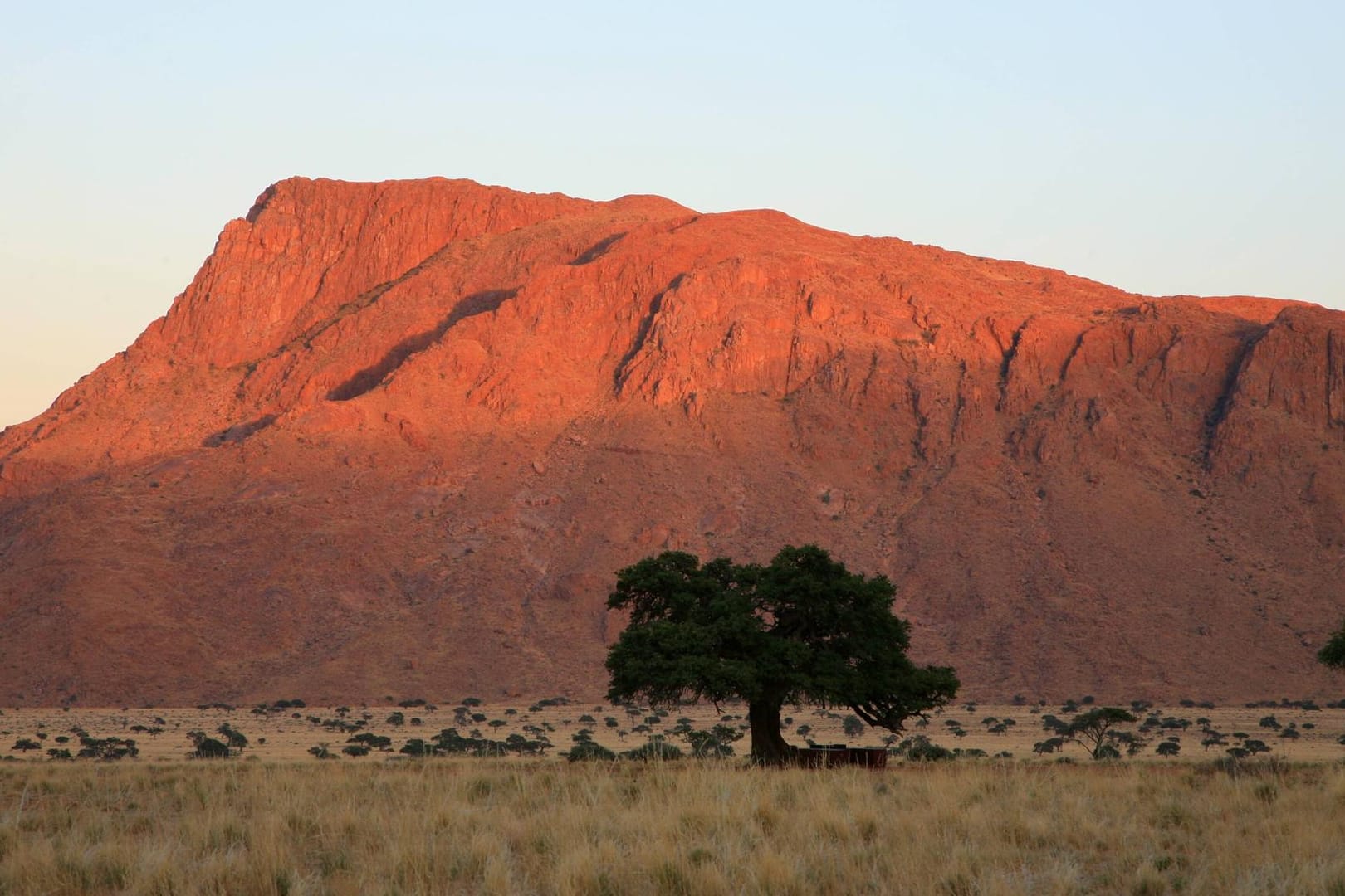 Dürre in Namibia: Doch nicht nur in Afrika ist der Anteil an Dürrelandschaften in den letzten Jahren immens angestiegen.