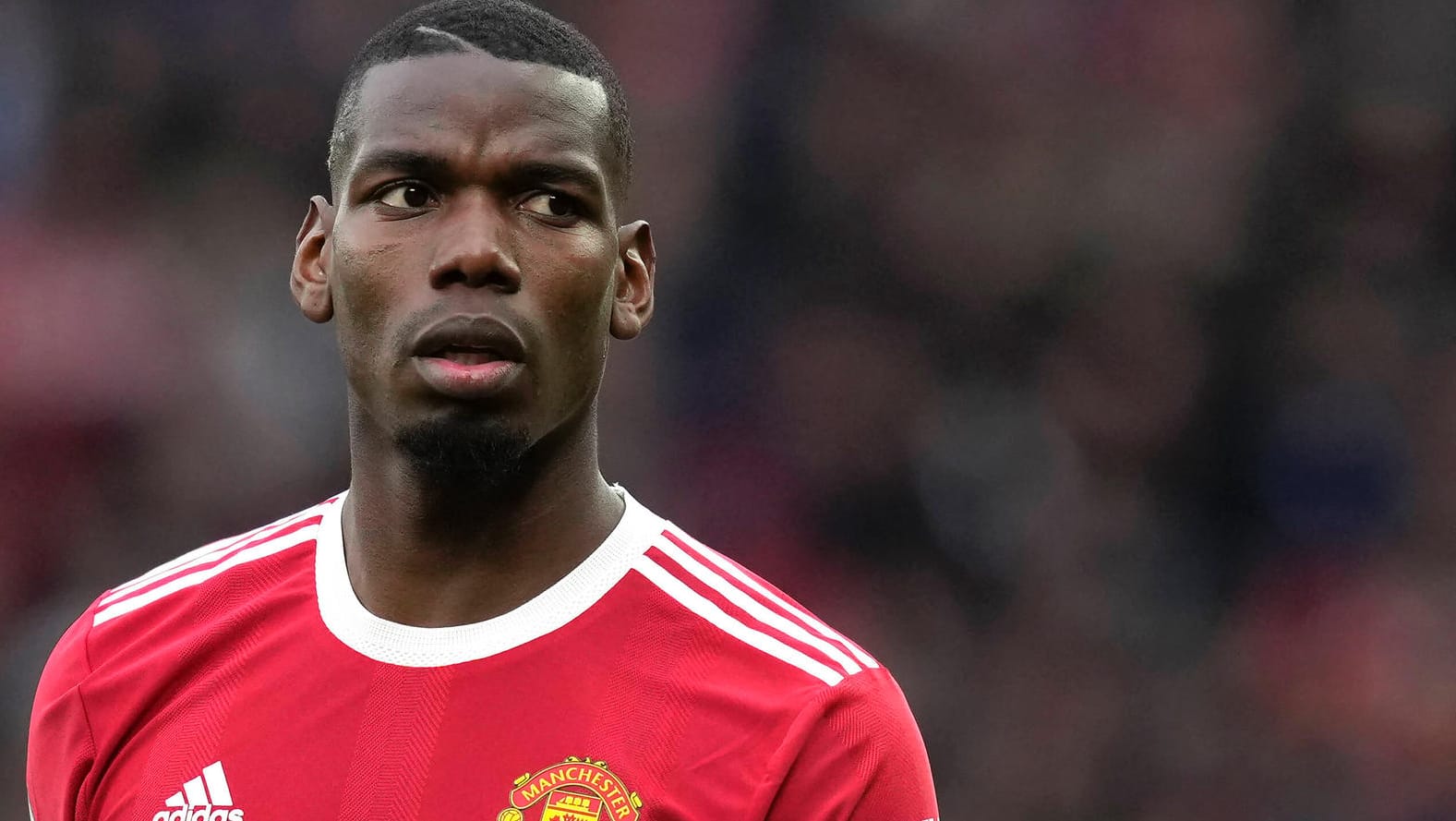 Paul Pogba: Der Franzose ist ablösefrei zu haben.