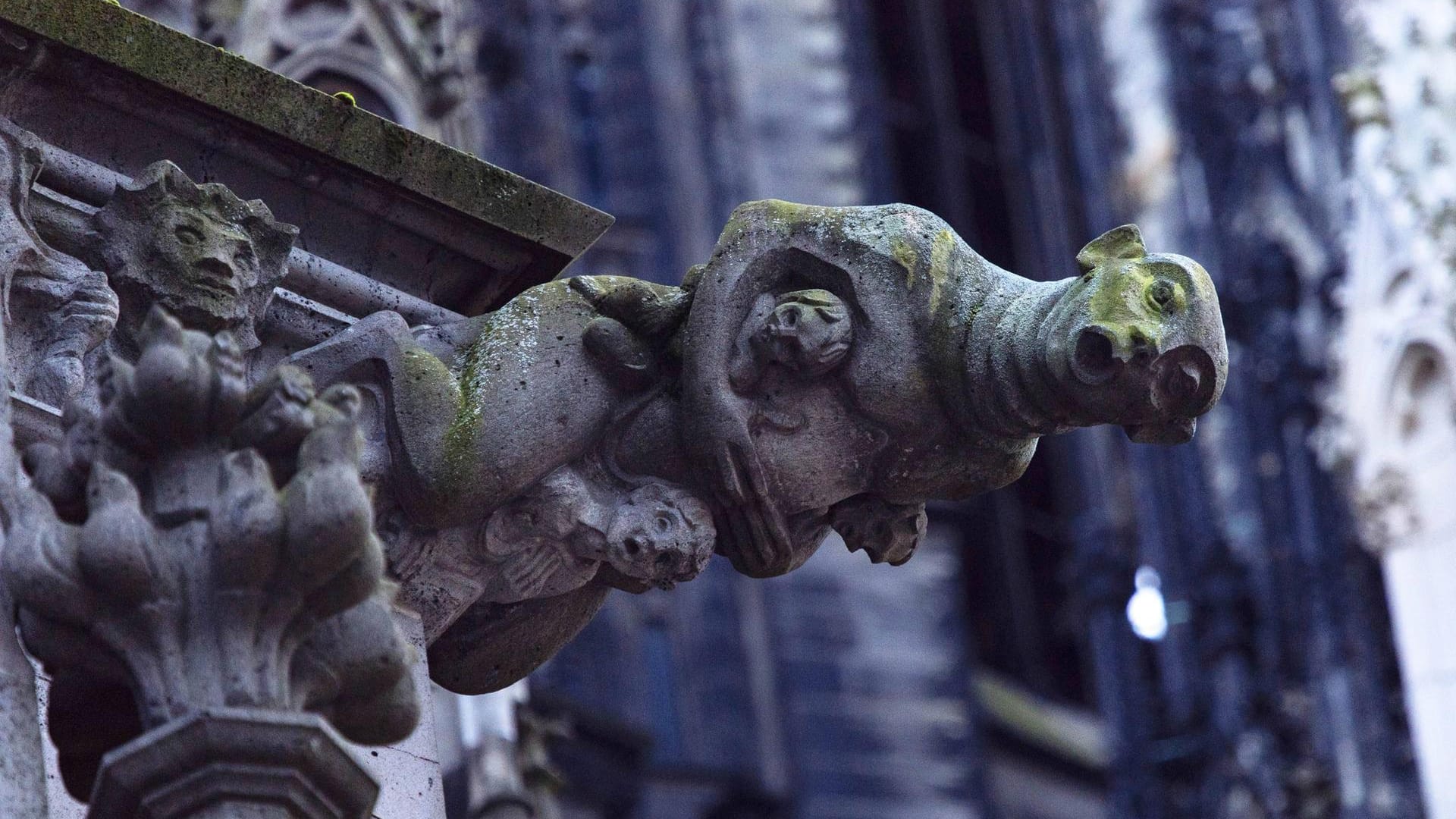 Ein Wasserspeier am Kölner Dom (Symbolbild): In Abstimmung mit dem Land soll eine unabhängige Kommission Fälle von Kindesmissbrauch im Bistum aufarbeiten.