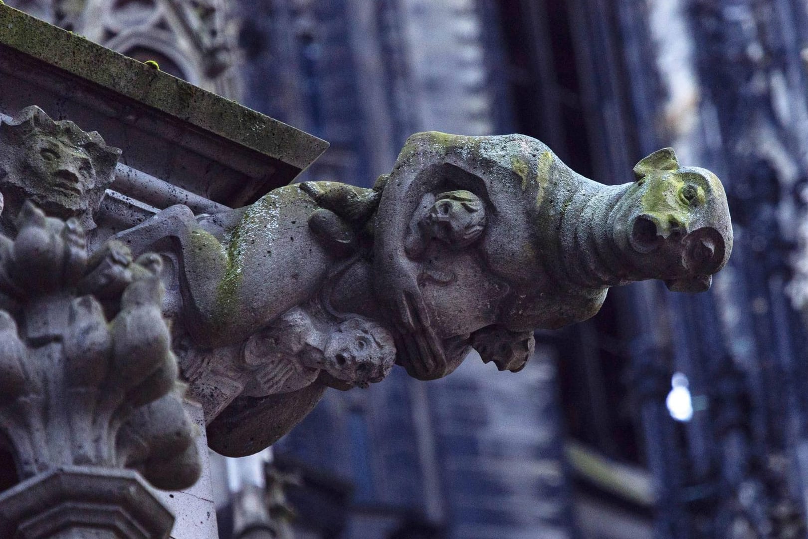 Ein Wasserspeier am Kölner Dom (Symbolbild): In Abstimmung mit dem Land soll eine unabhängige Kommission Fälle von Kindesmissbrauch im Bistum aufarbeiten.