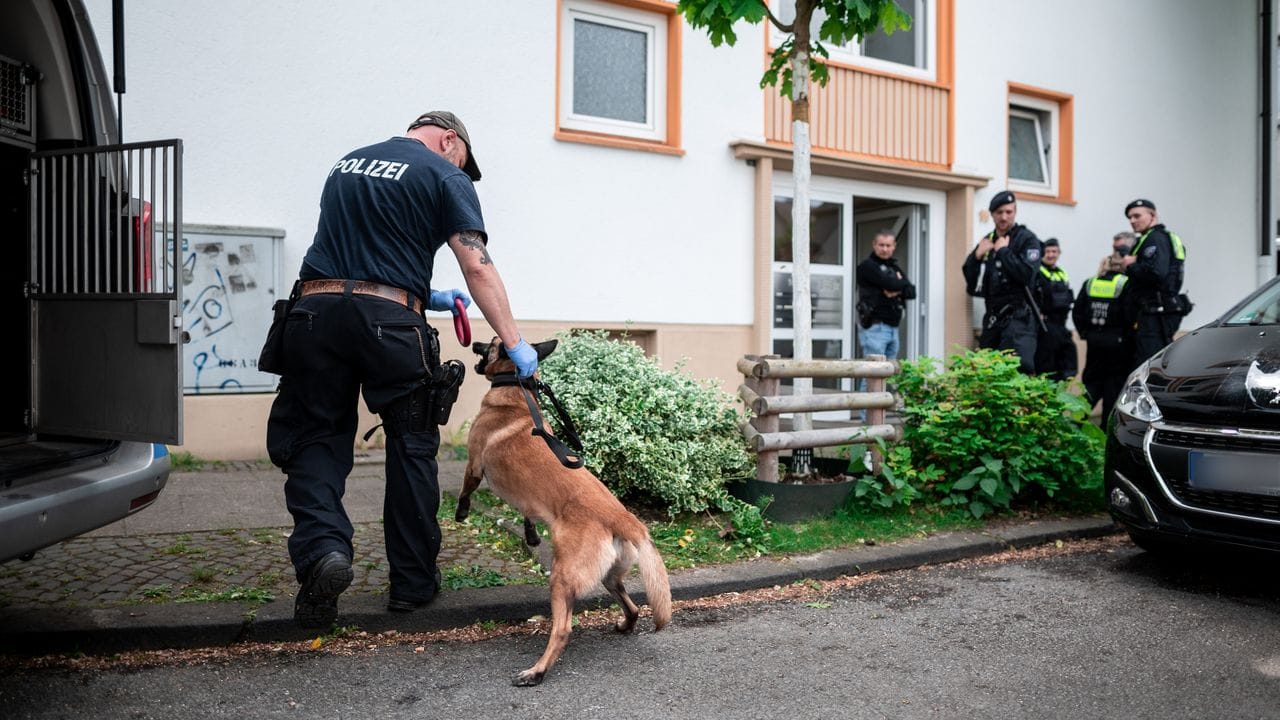 Ein Polizist mit Spürhund geht in das Wohnhaus des Tatverdächtigen.