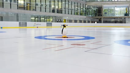 Die Eisfläche im Lentpark: Im Sommer ist das Eis abgetaut.