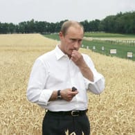Russlands Präsident Wladimir Putin auf einem Getreidefeld (Archivbild): Seine Kriegsstrategie treibt die Preise in die Höhe und ganze Länder in den Hunger.