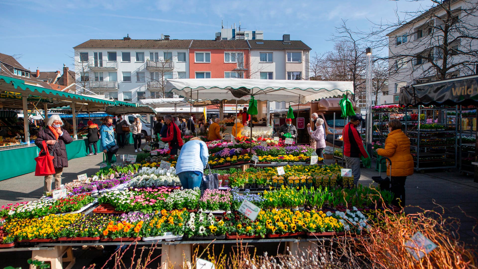 Wochenmarkt auf dem Maternusplatz: Schauspielerin Romy Schneider soll in Rodenkirchen einen Großteil ihrer Kindheit verbracht haben.