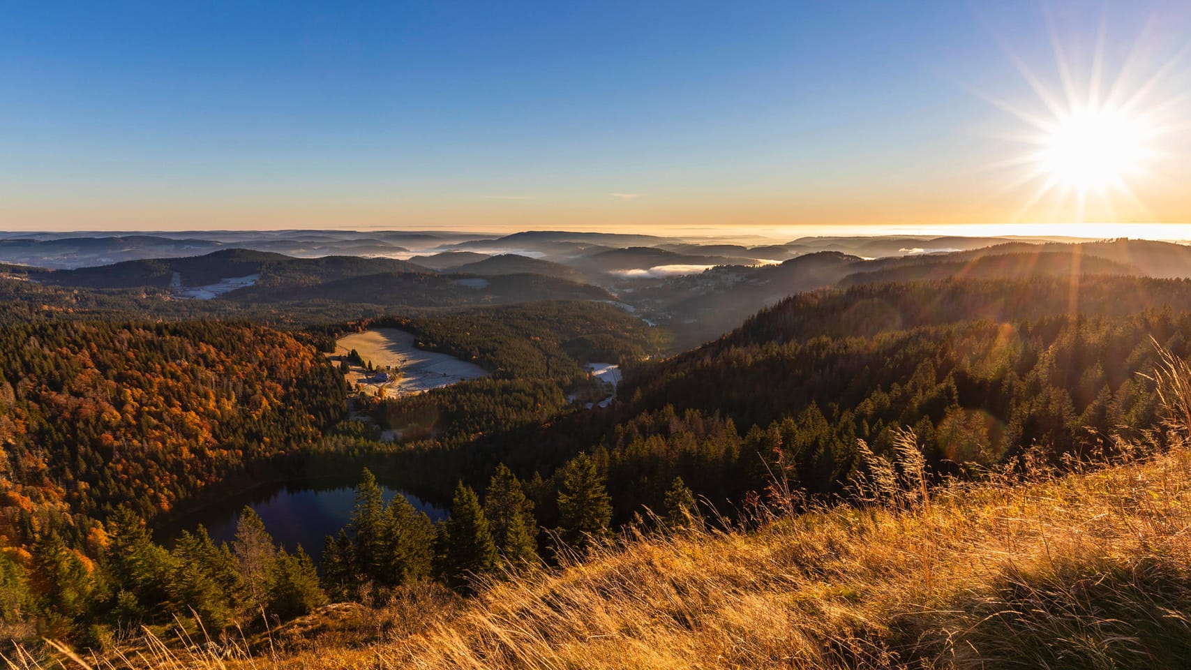 Blick vom Feldberg auf den Feldsee.