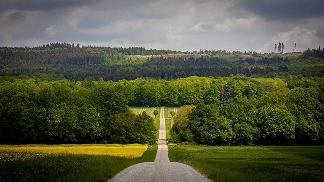 Forstvereinstagung in Niedersachsen