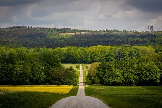 Forstvereinstagung in Niedersachsen