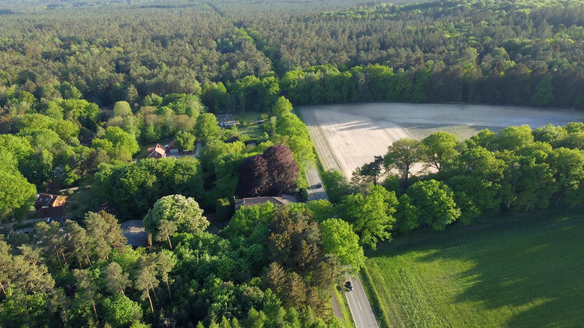 Ein Waldstück nahe der niedersächsischen Ortschaft Stelle: Nach dem Fund einer Frauenleiche in der Nähe von Hamburg hat die Polizei einen 31 Jahre alten Mann festgenommen. Ein Waldstück nahe der niedersächsischen Ortschaft Stelle: Nach dem Fund einer Frauenleiche in der Nähe von Hamburg hat die Polizei einen 31 Jahre alten Mann festgenommen.