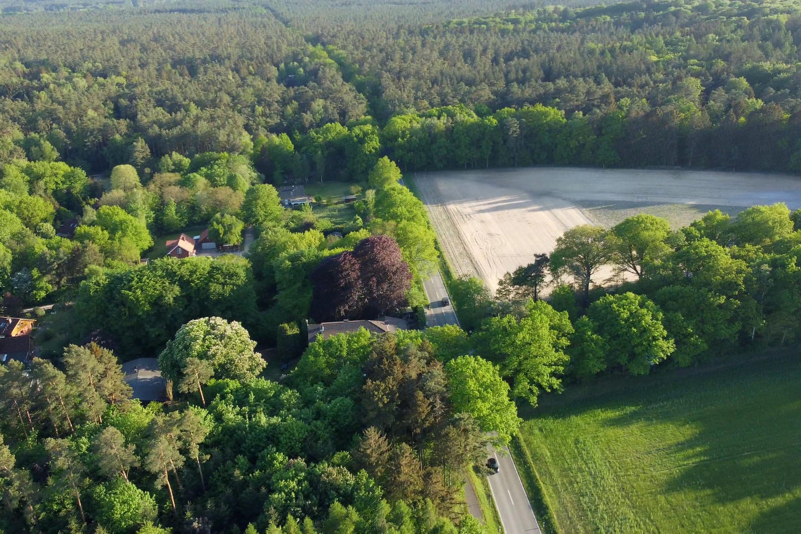 Ein Waldstück nahe der niedersächsischen Ortschaft Stelle: Nach dem Fund einer Frauenleiche in der Nähe von Hamburg hat die Polizei einen 31 Jahre alten Mann festgenommen.