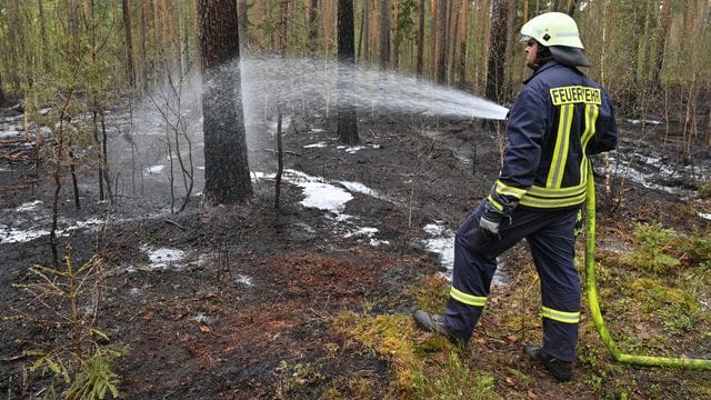 Waldbrand in Brandenburg