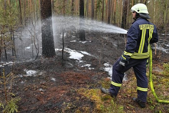 Waldbrand in Brandenburg