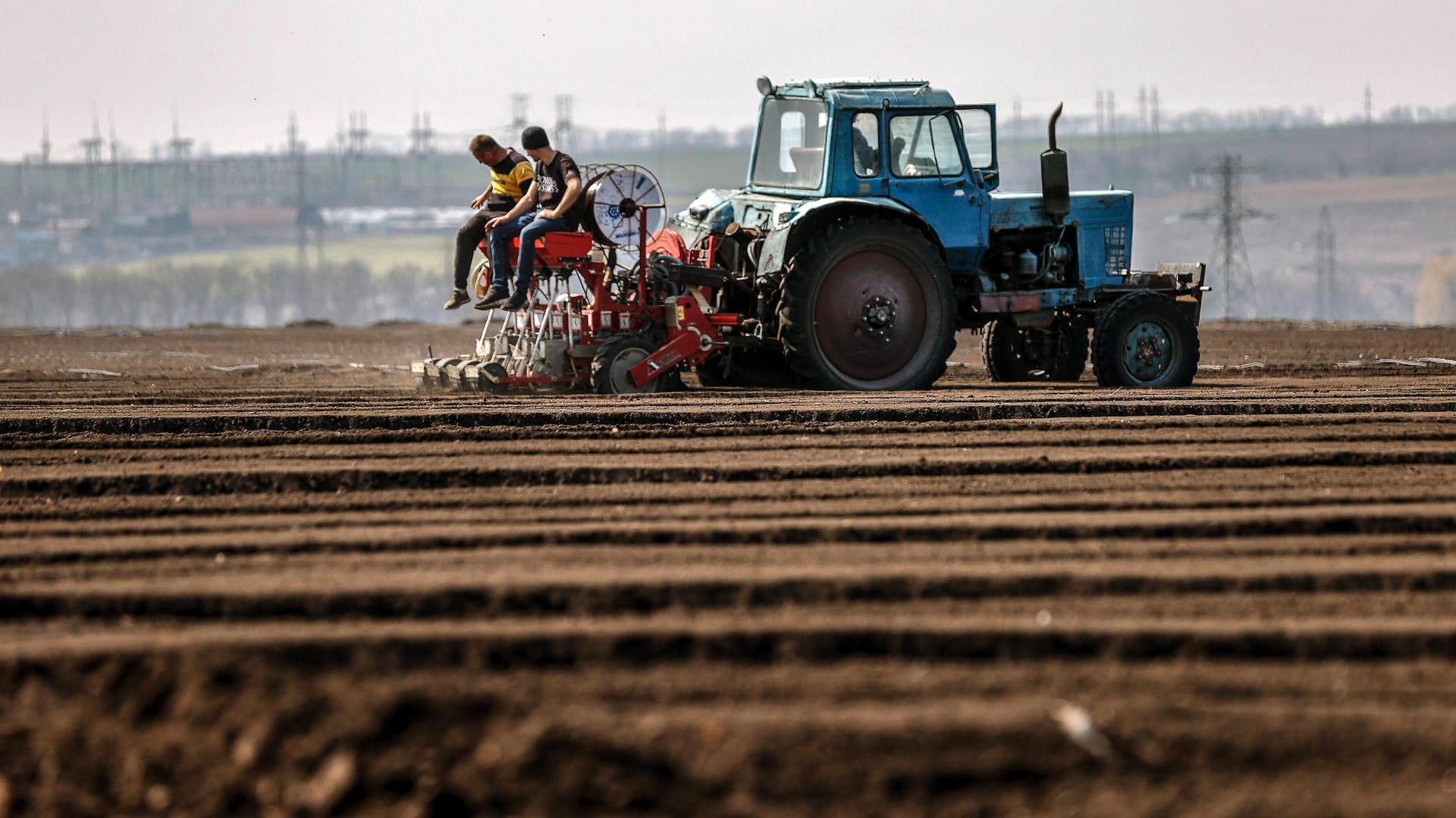 Landwirtschaft in Zeiten des Krieges: Im Weste des Landes wie hier in Odessa bestellen die ukrainischen Landwirte noch ihre Felder, im Osten des Landes klagen die Bauern dagegen über Diebstahl.