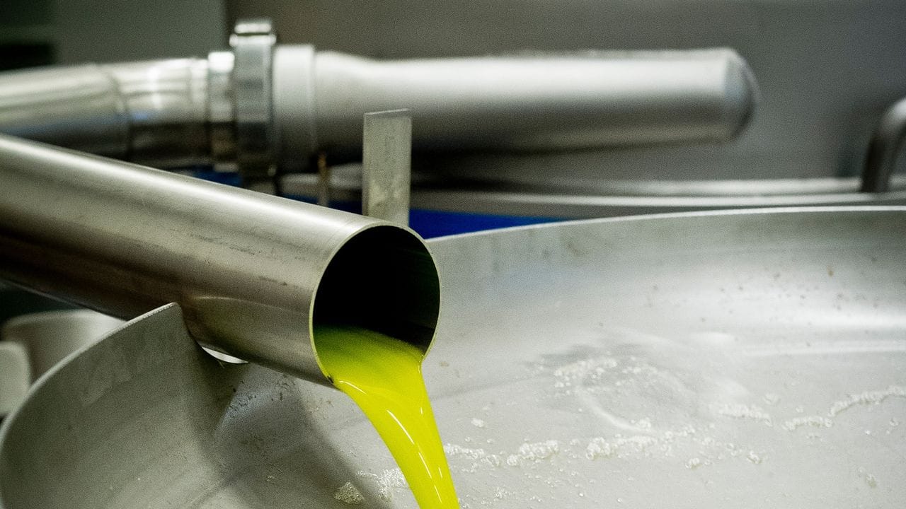 Beim Olivenöl handelt es sich überwiegend um ein Frucht- und nicht um ein Kern- oder Samenöl.