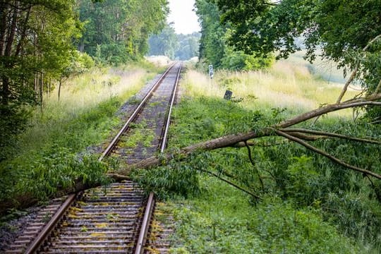 Unwetterschäden